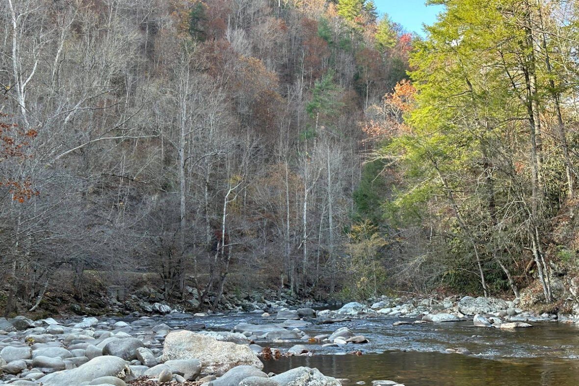 Best Low Stress Ways To Experience the Smokies From Townsend