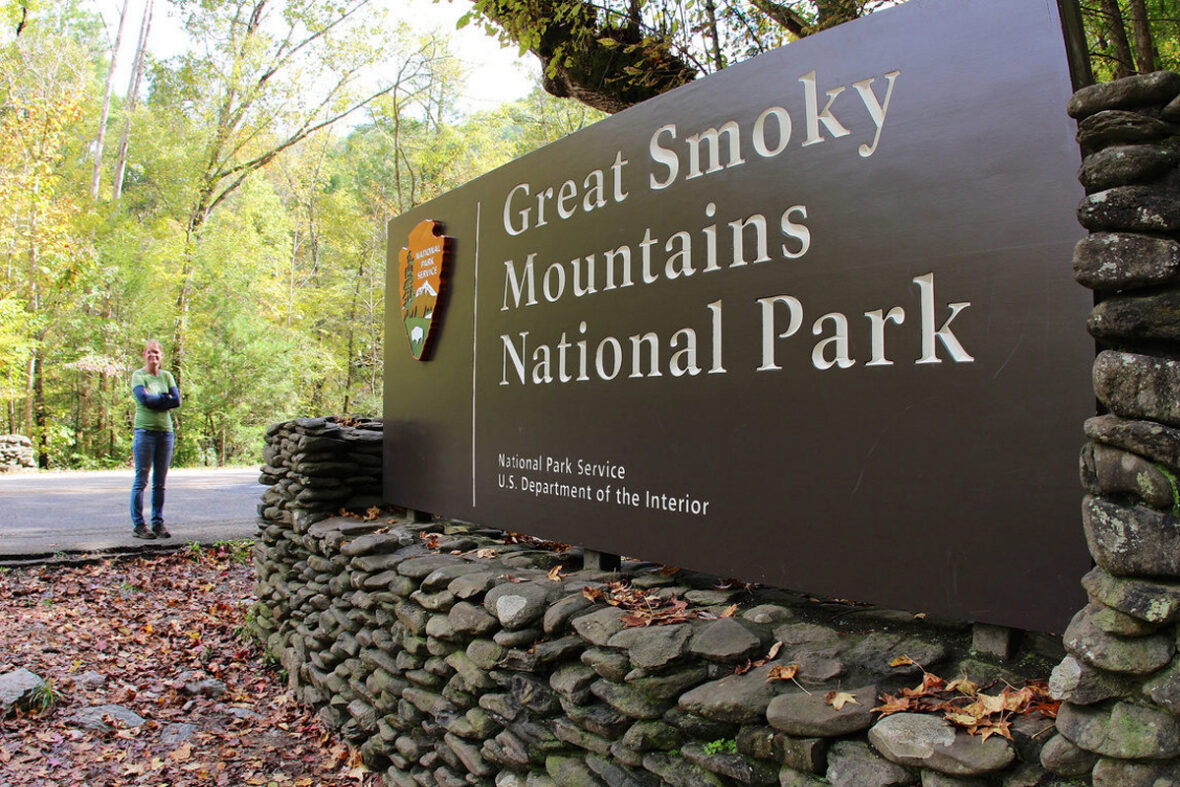 Best National Park Stops Near Townsend for First Time Visitors