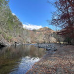 Simple Ways To Enjoy Little River Without a Big Itinerary