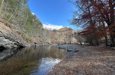 Simple Ways To Enjoy Little River Without a Big Itinerary