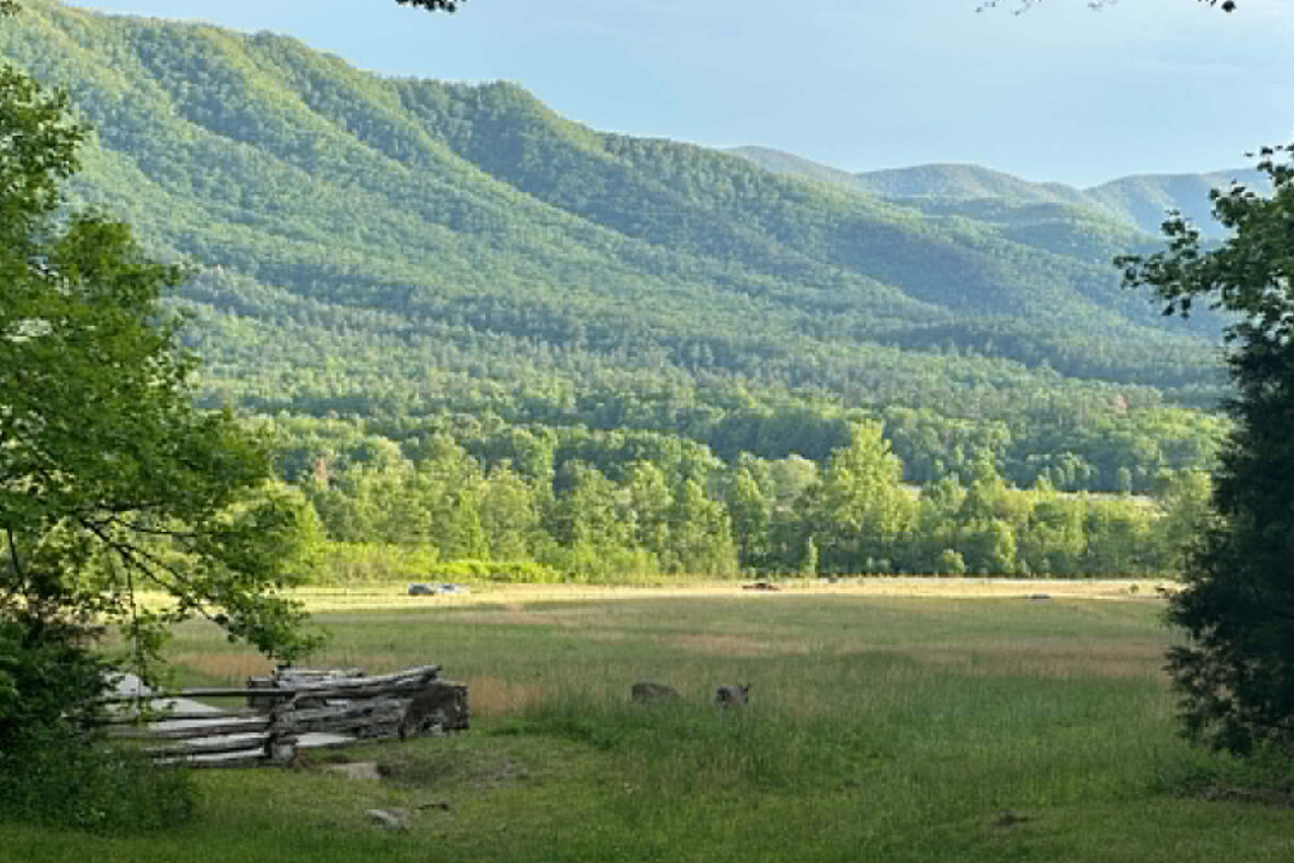Why Staying in Townsend Makes Visiting Cades Cove Easier